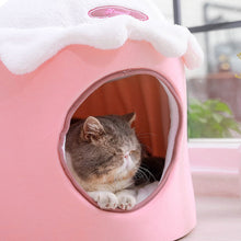 Load image into Gallery viewer, Cat Pink Bed
