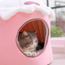 Load image into Gallery viewer, Cat Pink Bed
