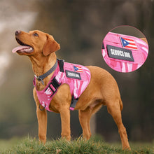 Load image into Gallery viewer, Pink Tactical Dog Harness
