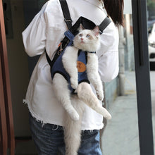 Load image into Gallery viewer, Outdoor Pet Cat Pink Carrier
